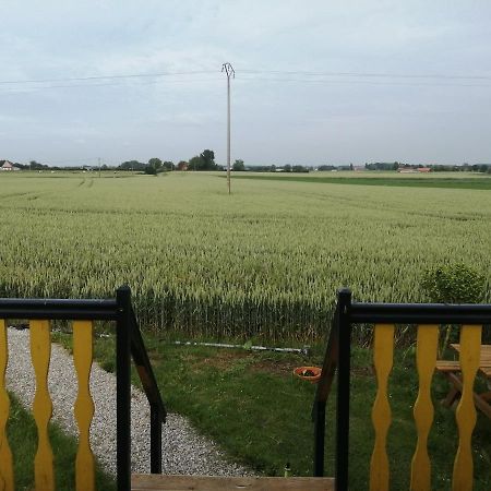 Roulotte Et Jacuzzi De Rachel Au Domaine Du Reuze Winnezeele Exterior foto