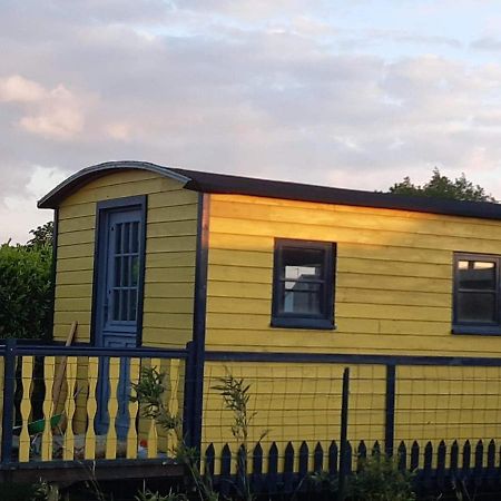 Roulotte Et Jacuzzi De Rachel Au Domaine Du Reuze Winnezeele Exterior foto